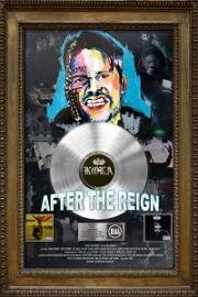 Взлет и падение Лил Тито (After the Reign (Like: The Miseducation of Lil Tito)) (2020)
