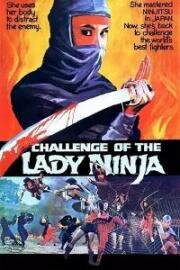 Задание леди-ниндзя (Вызов леди-ниндзя) (Lang nu shen long jian (Challenge of the Lady Ninja)) 1983