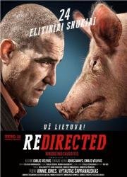 Занесло (Rеdirected) (2014)