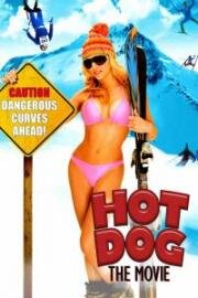 Здорово! (Фристайлеры) (Hot dog... the movie) (1984)