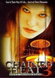 Женщины за решёткой 3: Проклятое ущелье (Chained Heat III: Hell Mountain) (1998)