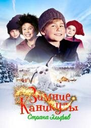 Зимние каникулы: Страна эльфов (2016)